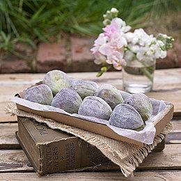 模拟游戏《Creature Lab》试玩Demo上线 支持中文